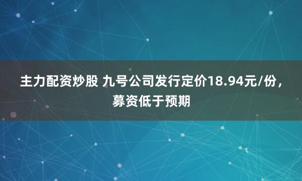 主力配资炒股 九号公司发行定价18.94元/份，募资低于预期