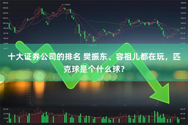 十大证券公司的排名 樊振东、容祖儿都在玩，匹克球是个什么球？