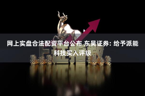网上实盘合法配资平台公布 东吴证券: 给予派能科技买入评级